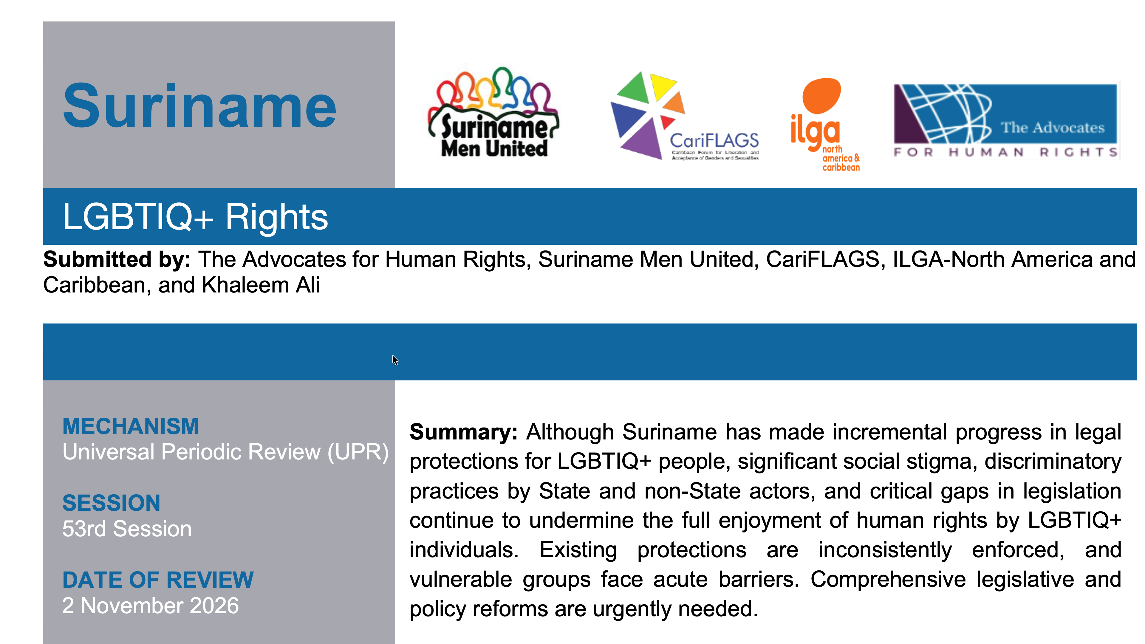 Suriname one-pager example image